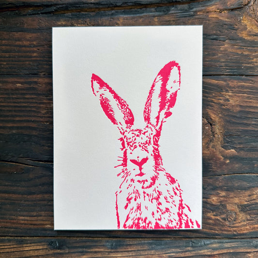 Mein Name ist Hase